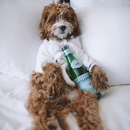 First Millennium Hotel