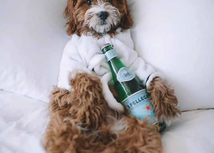 First Millennium Hotel